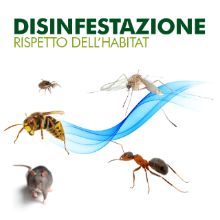 Immagine di  SERVIZIO DI DISINFESTAZIONE E DERATTIZZAZIONE
