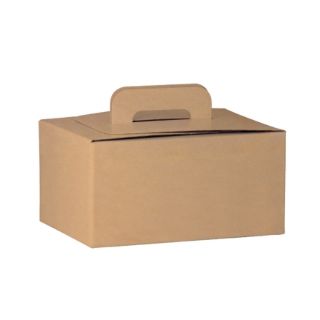 Immagine di BAULETTO TAKE AWAY 32,5X24,5X22CM 20PZ