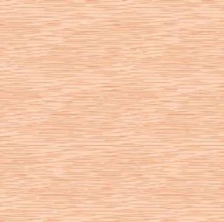 Immagine di COPRIMACCHIA SPUNLACE STYLE SALMONE 100X100CM 20PZ