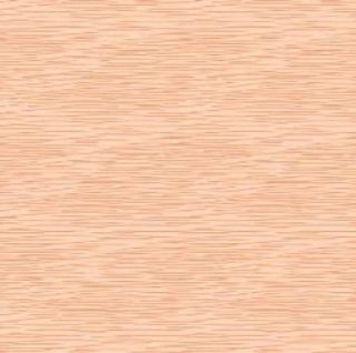 Immagine di COPRIMACCHIA SPUNLACE STYLE SALMONE 100X100CM 20PZ