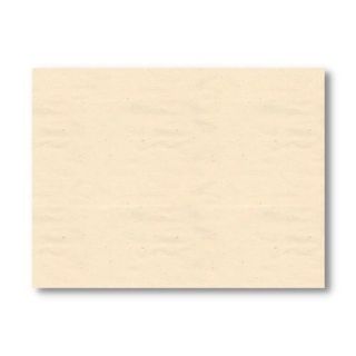 Immagine di TOVAGLIETTE 33X43CM BASIC CREMA 500PZ