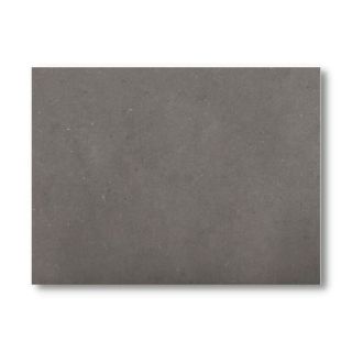 Immagine di TOVAGLIETTE 33X43CM BASIC GRIGIO 500PZ