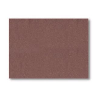 Immagine di TOVAGLIETTE 33X43CM BASIC MARRONE 500PZ