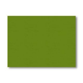 Immagine di TOVAGLIETTE 33X43CM BASIC VERDE 500PZ