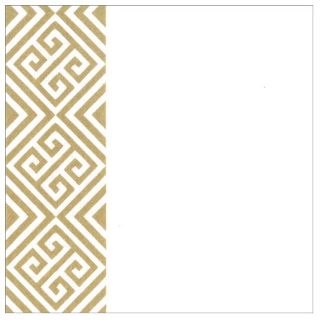 Immagine di TOVAGLIOLI SPUNLACE ATHENA CAPPUCCINO 40x40CM 50PZ